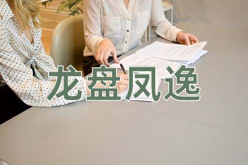 成语龙盘凤逸