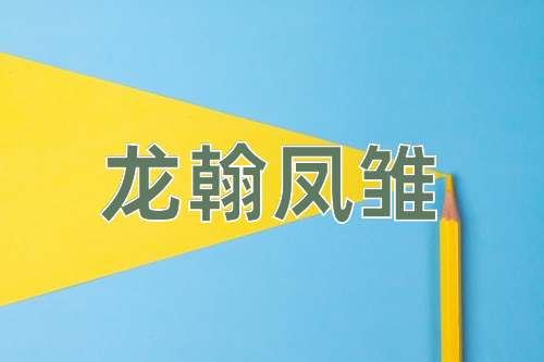 成语龙翰凤雏