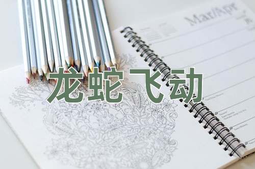 成语龙蛇飞动