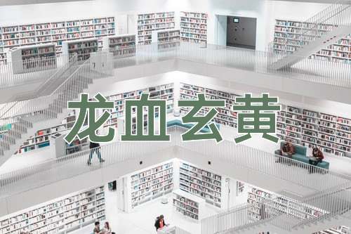 成语龙血玄黄