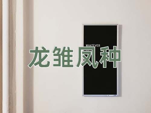 成语龙雏凤种