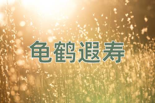 成语龟鹤遐寿