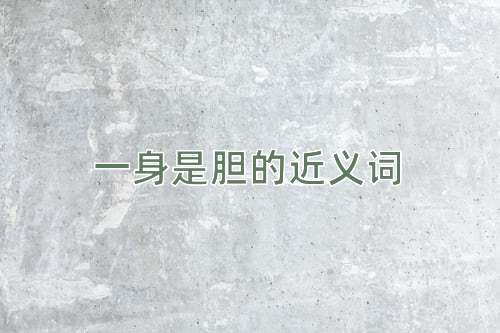 一身是胆的近义词