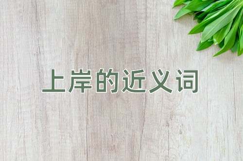 上岸的近义词