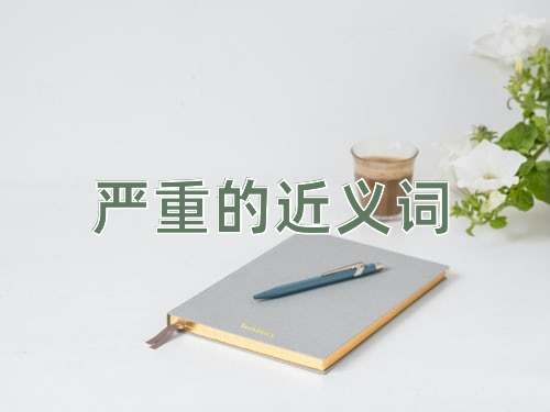 严重的近义词