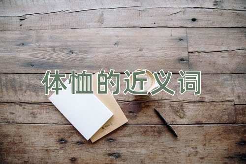 体恤的近义词