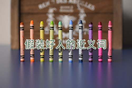 假装好人的近义词
