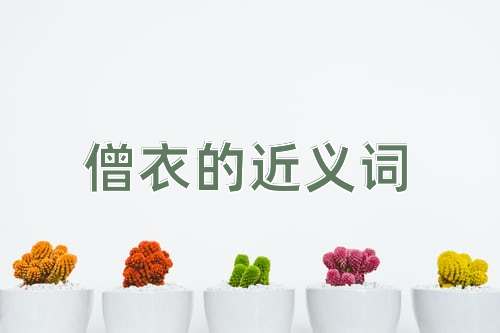 僧衣的近义词