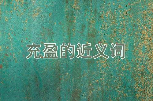 充盈的近义词
