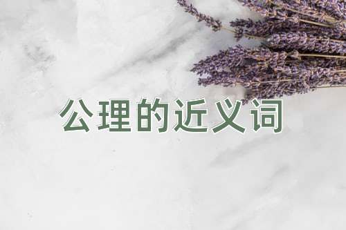 公理的近义词