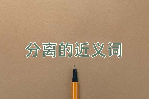 分离的近义词