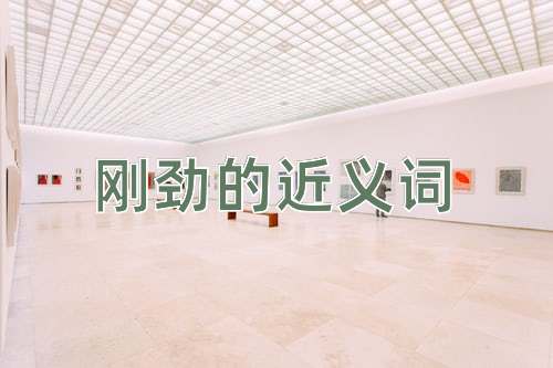 刚劲的近义词