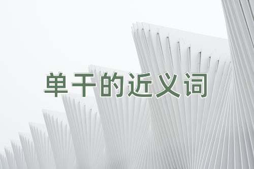 单干的近义词