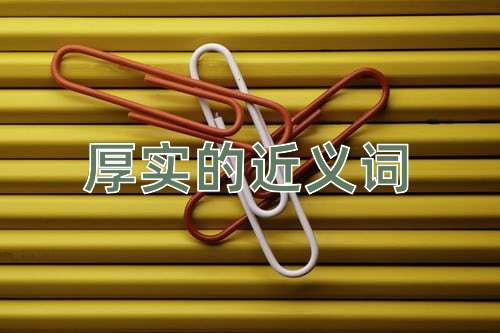 厚实的近义词