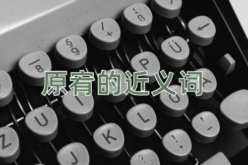 原宥的近义词