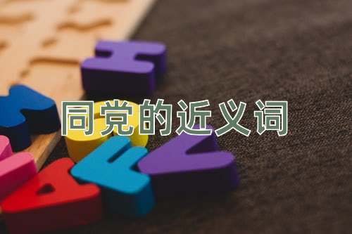 同党的近义词