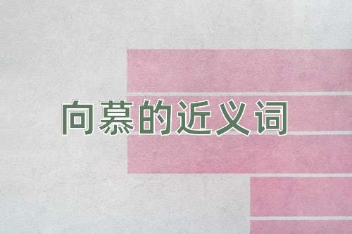 向慕的近义词