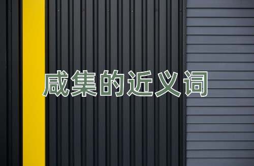咸集的近义词