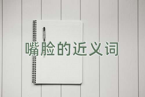 嘴脸的近义词