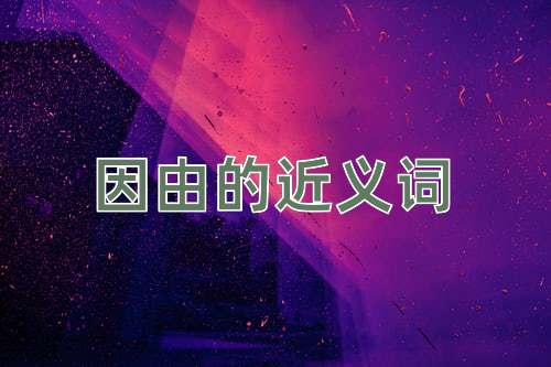 因由的近义词