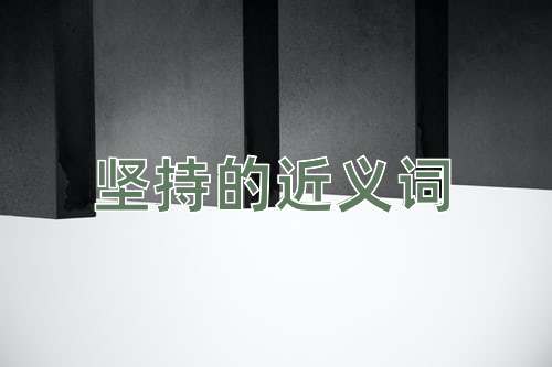 坚持的近义词