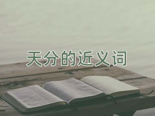 天分的近义词