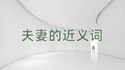 夫妻的近义词