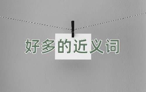 好多的近义词