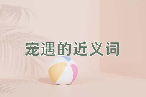 宠遇的近义词