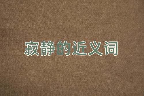 寂静的近义词