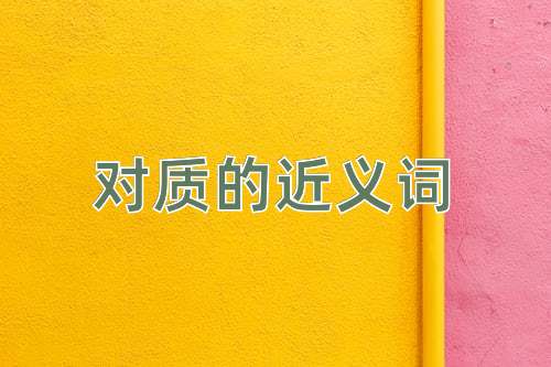 对质的近义词