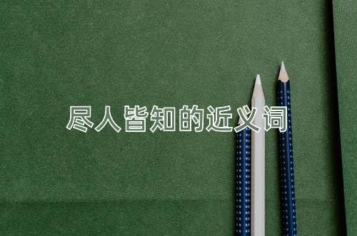 尽人皆知的近义词