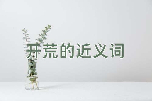 开荒的近义词