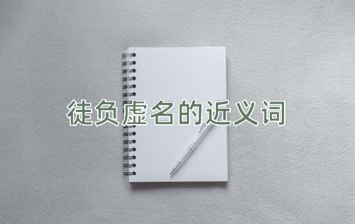 徒负虚名的近义词