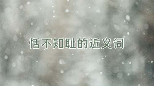 恬不知耻的近义词
