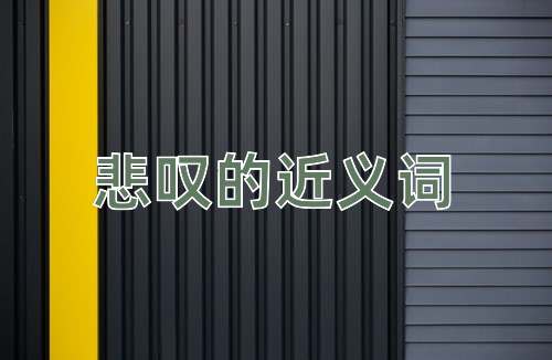 悲叹的近义词