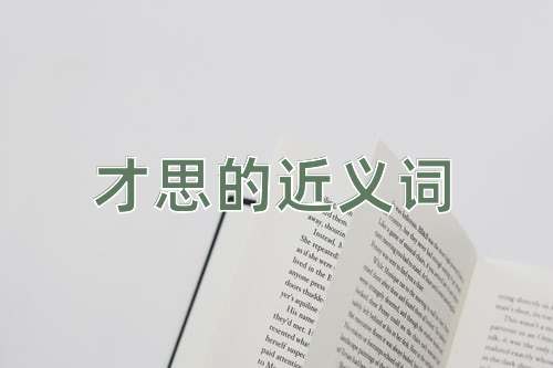 才思的近义词