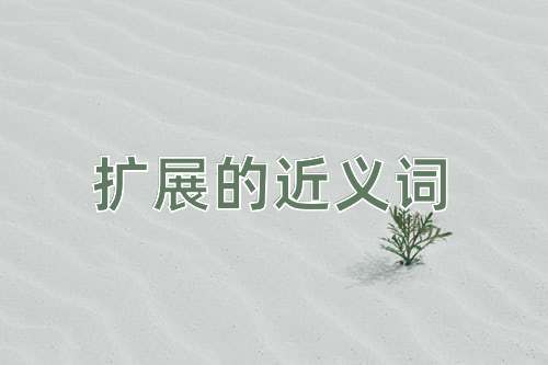 扩展的近义词
