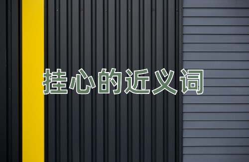 挂心的近义词