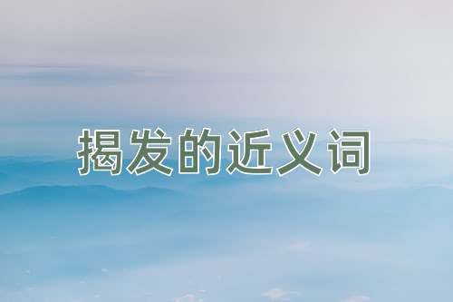 揭发的近义词