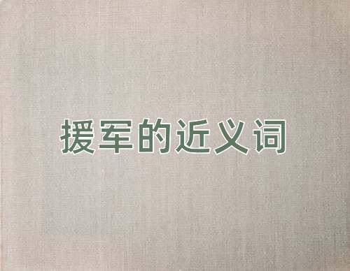援军的近义词