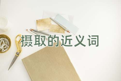 摄取的近义词