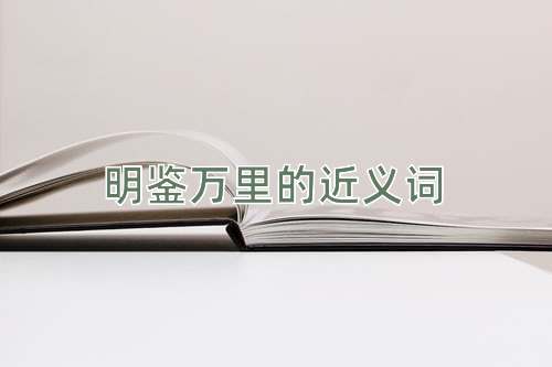 明鉴万里的近义词