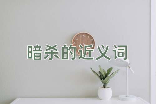 暗杀的近义词