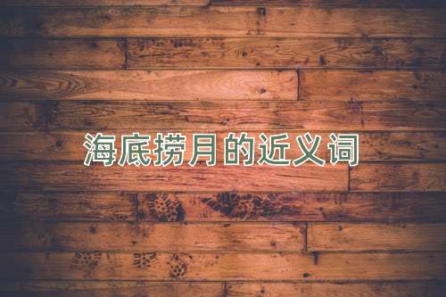 海底捞月的近义词