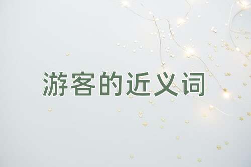 游客的近义词