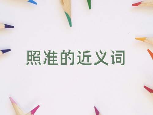 照准的近义词