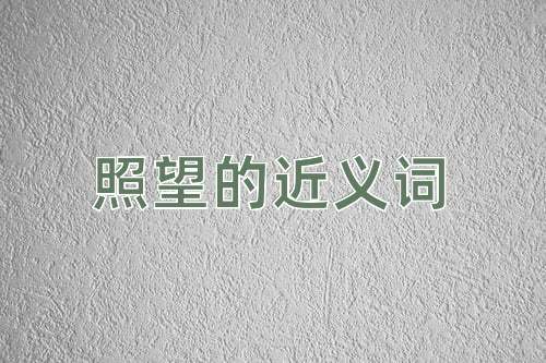 照望的近义词