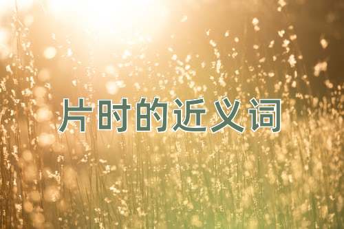 片时的近义词