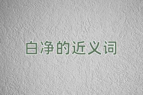 白净的近义词
